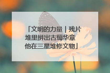 文明的力量｜残片堆里拼出古蜀华章 他在三星堆修文物